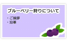 ブルーベリー狩りについて