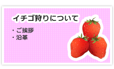 イチゴ狩りについて